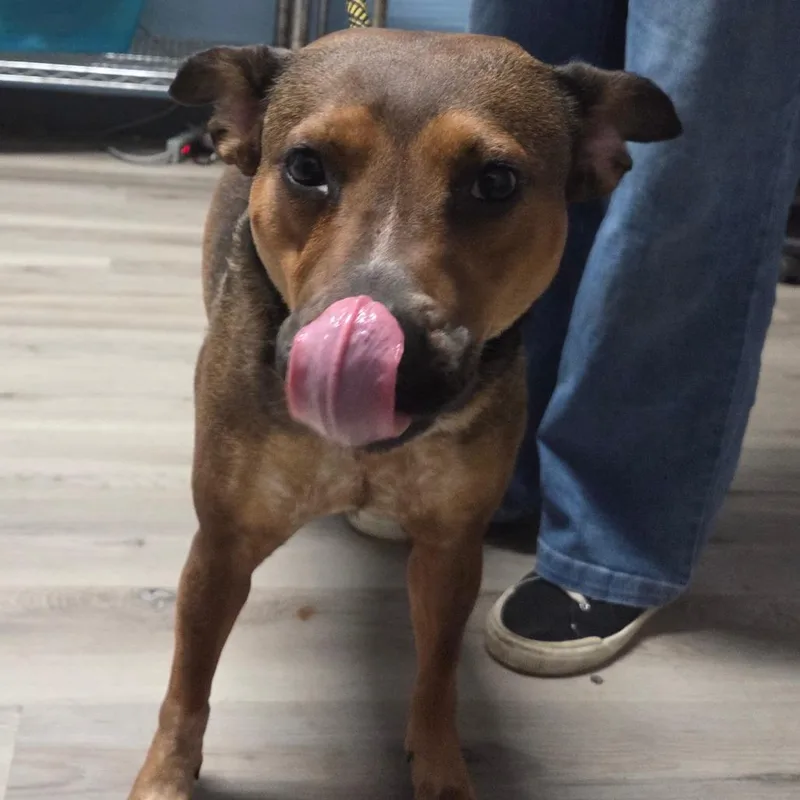 Juice Box thumbnail 4