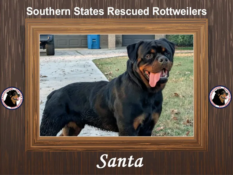 Santa thumbnail 4