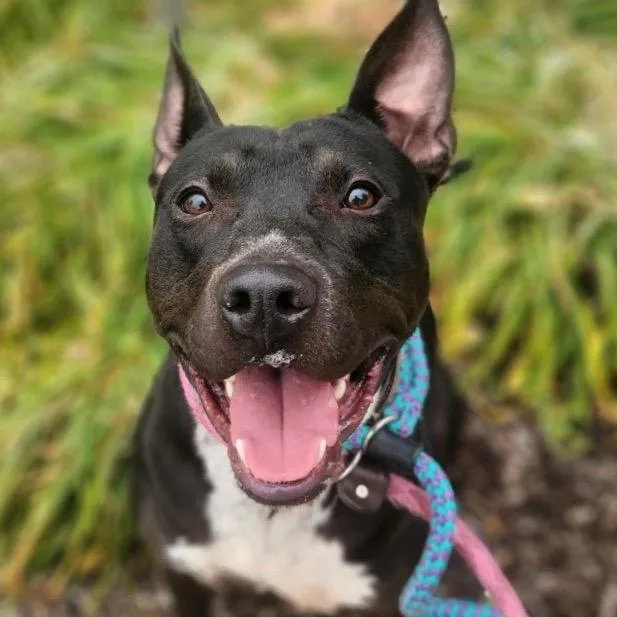 Sleepy Hollow thumbnail 2