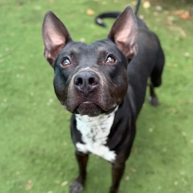 Sleepy Hollow thumbnail 3