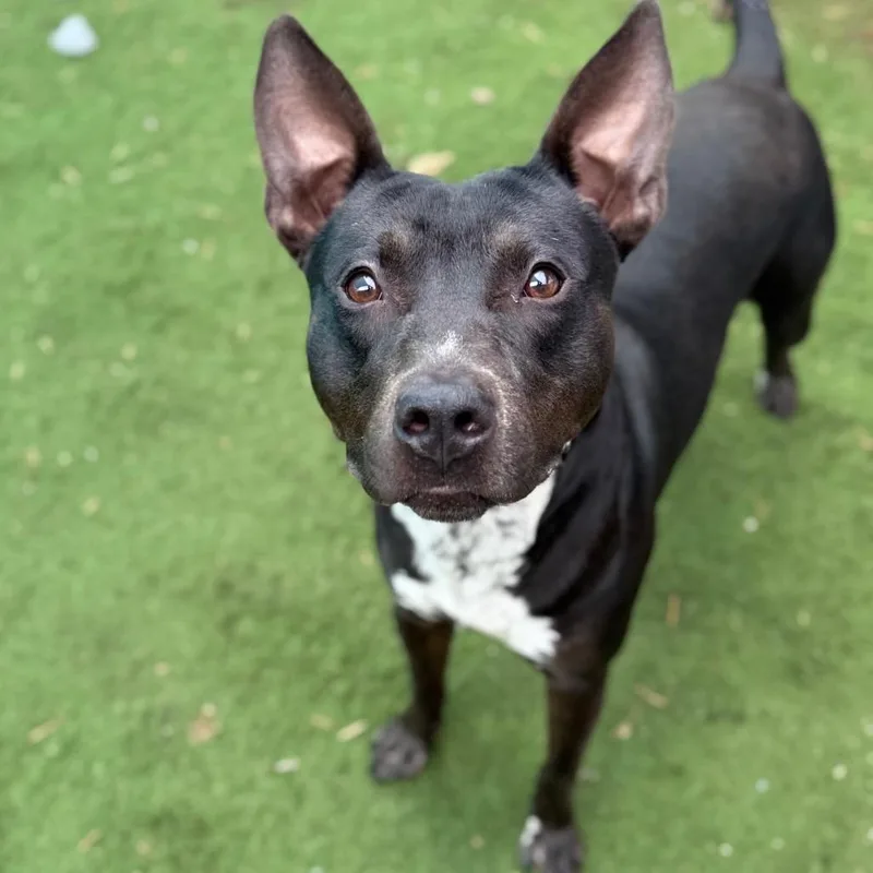 Sleepy Hollow thumbnail 4