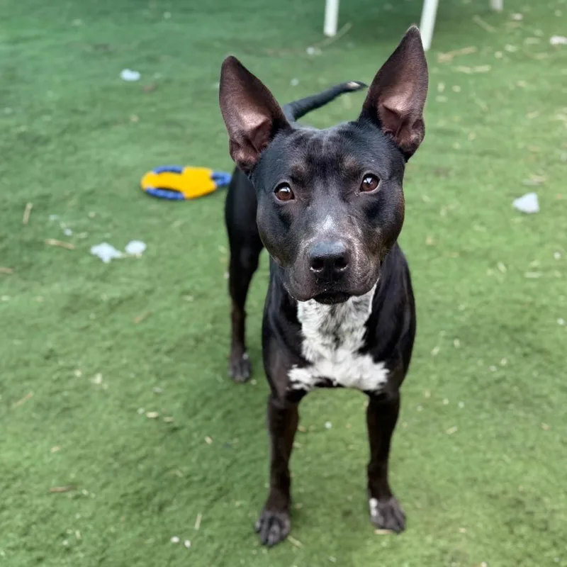 Sleepy Hollow thumbnail 5