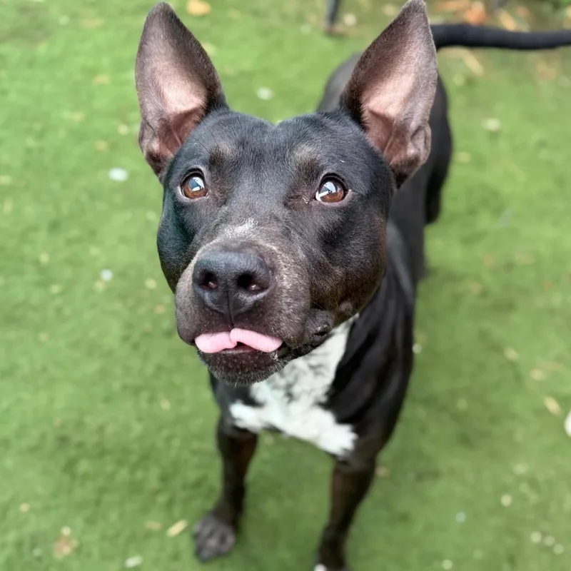 Sleepy Hollow thumbnail 6