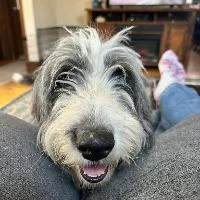 Ellie Mae thumbnail 2