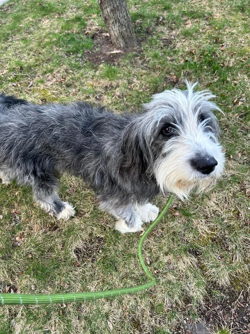 Ellie Mae thumbnail 3