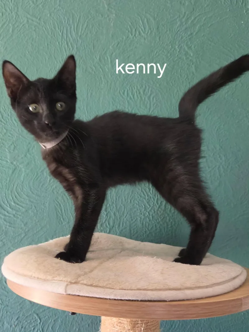 Kenny thumbnail 2