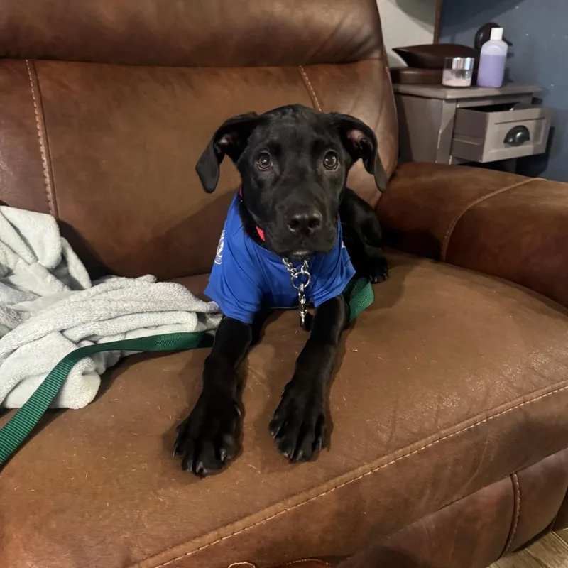 Jet Mario thumbnail 5