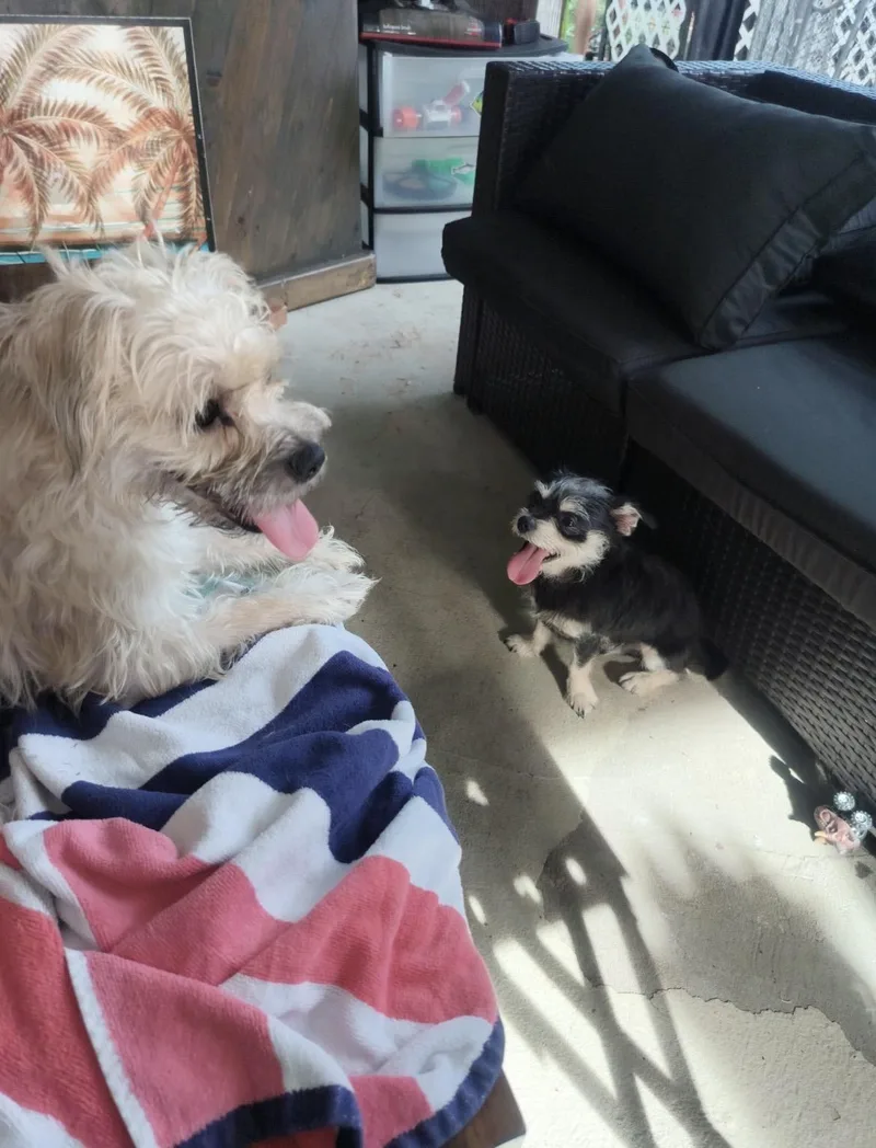 Dolly & Randy thumbnail 4