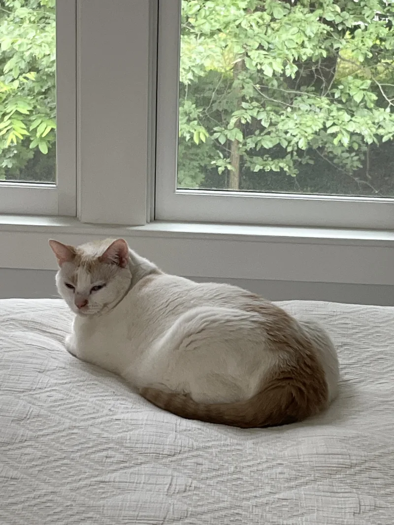 Mimi thumbnail 2