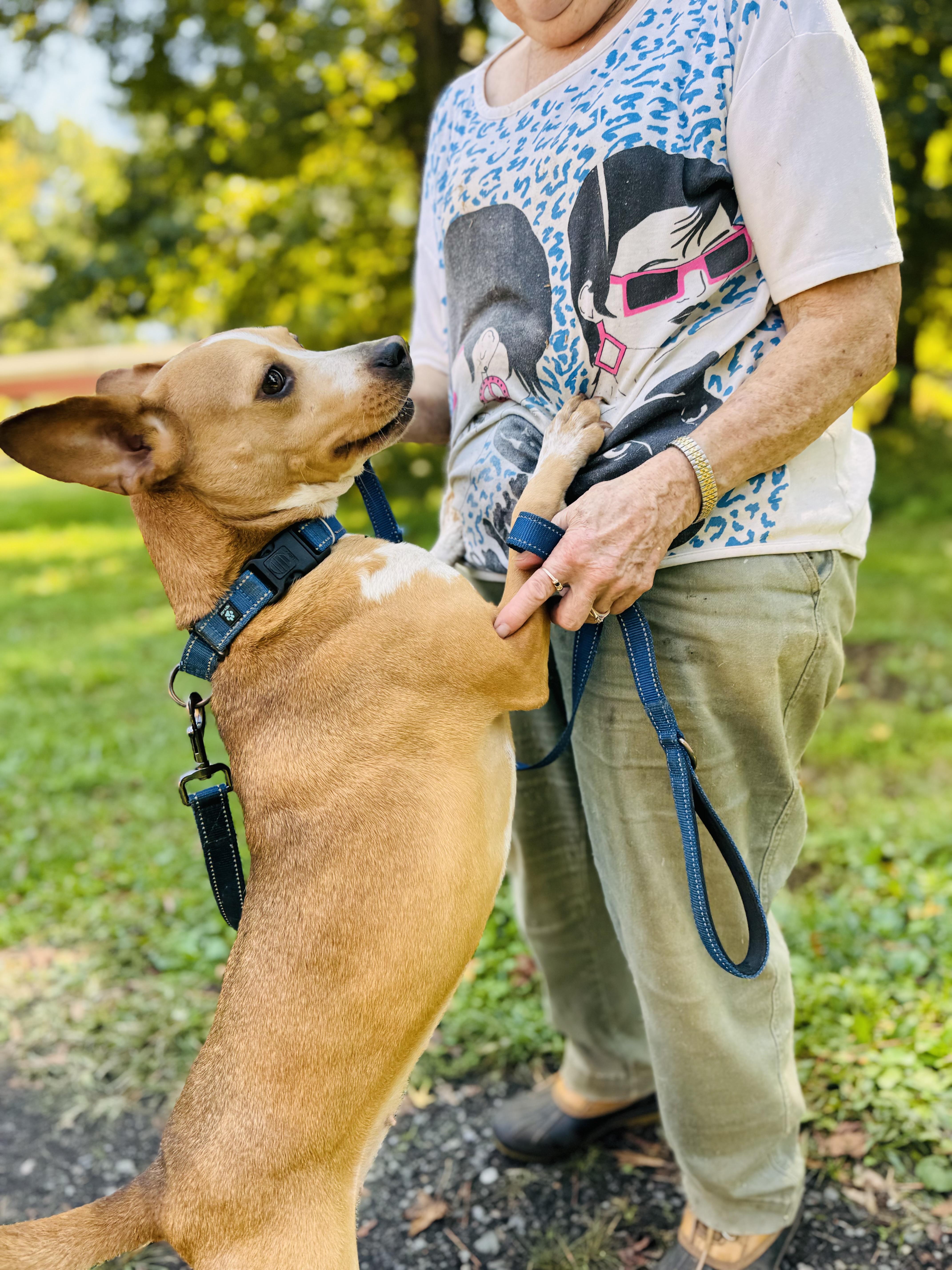 Luna Rose thumbnail 3