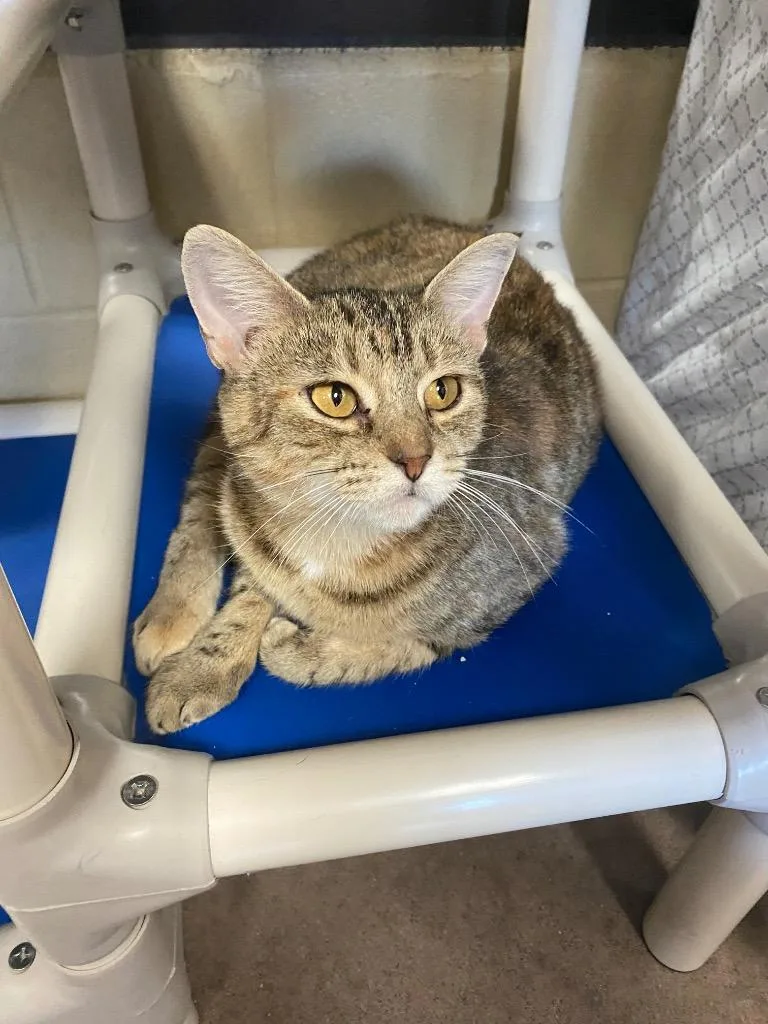 Duma Key thumbnail 2