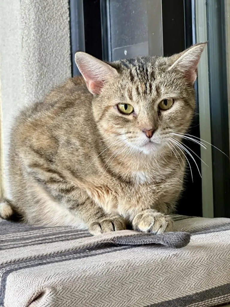 Duma Key thumbnail 4