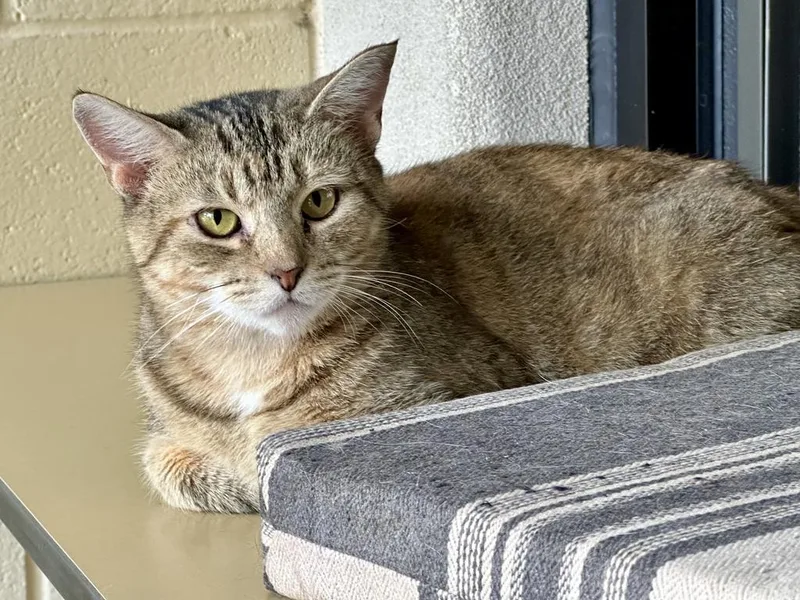 Duma Key thumbnail 5