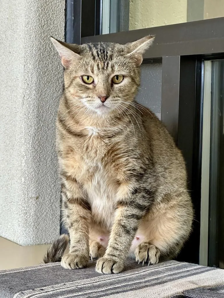 Duma Key thumbnail 6