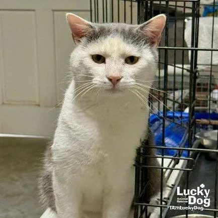 Iron Man thumbnail 2