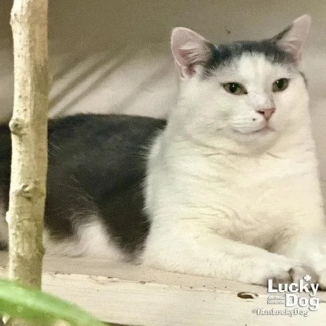 Iron Man thumbnail 3