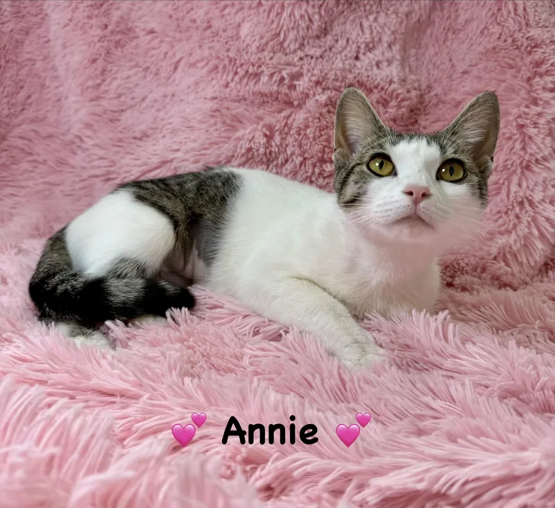 Annie thumbnail 2
