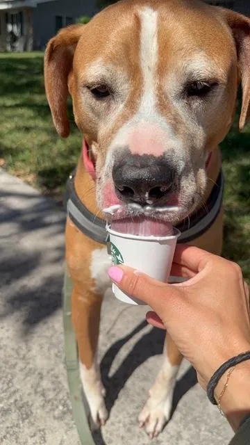 Kingston thumbnail 2