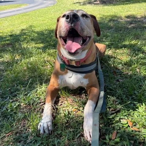 Kingston thumbnail 3