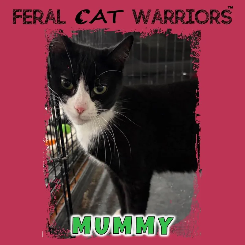 Mummy
