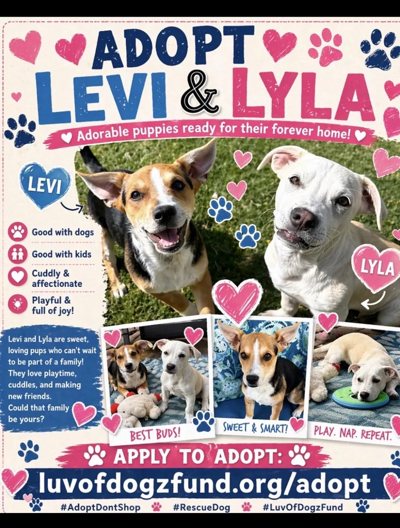 Levi and Lyla thumbnail 3