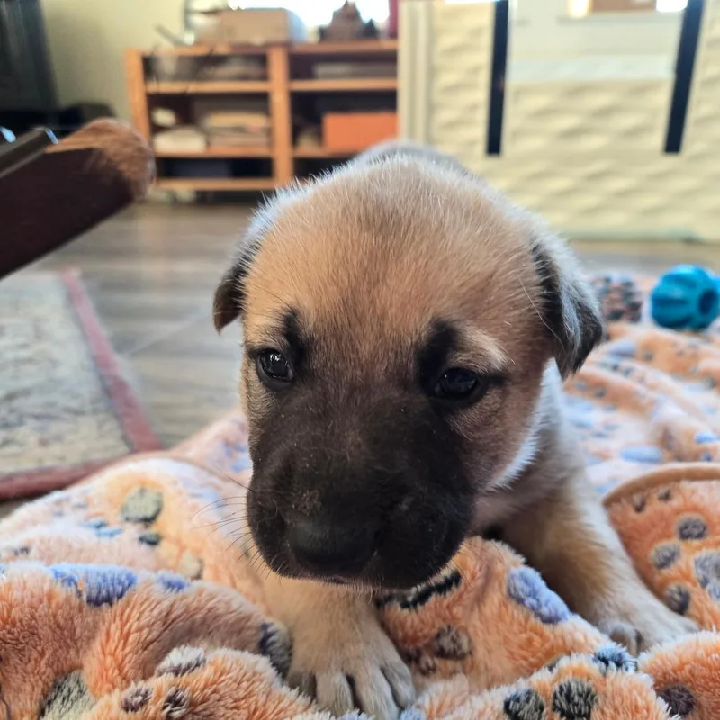 Mckenny "mickey" thumbnail 2