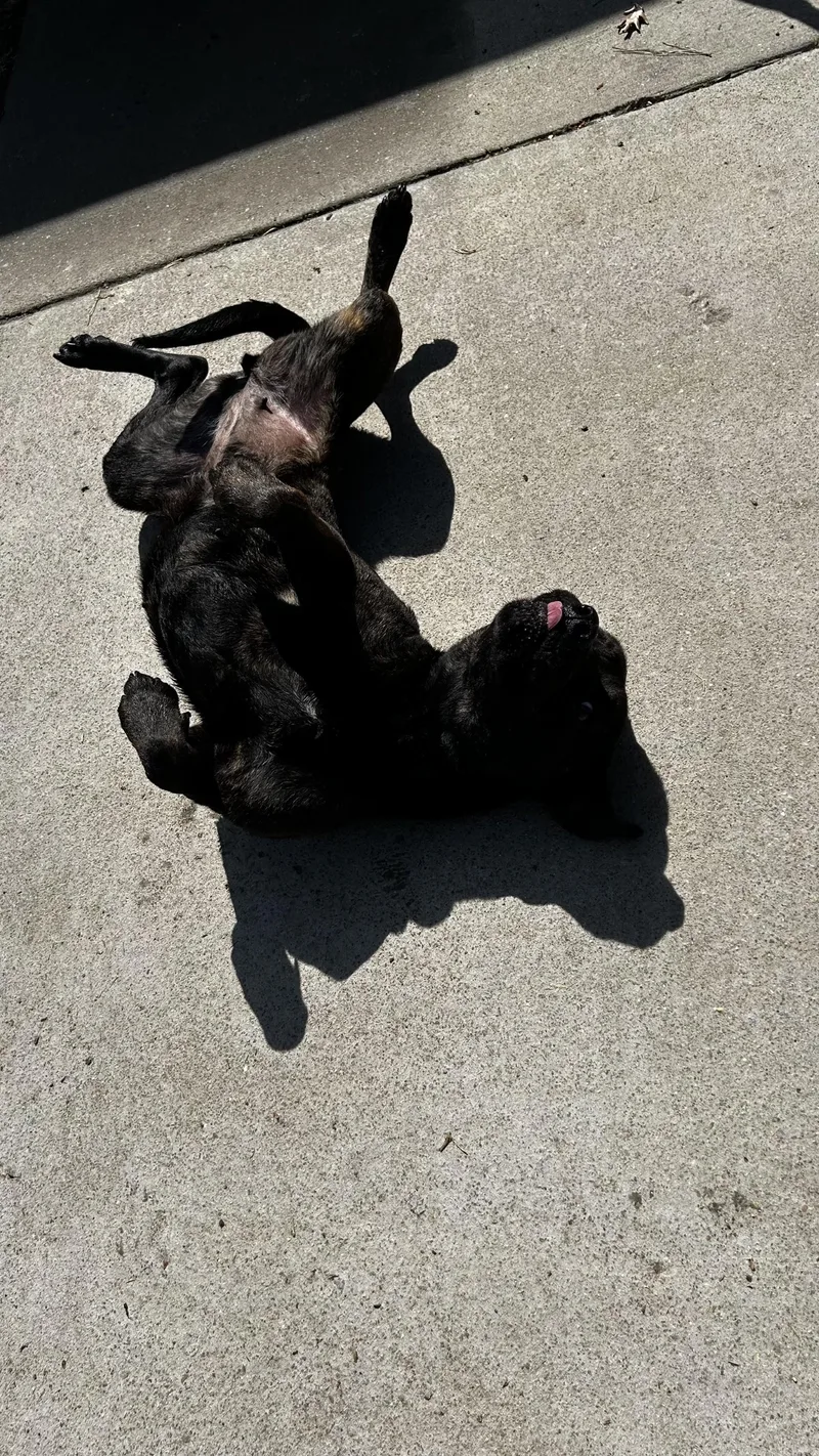 Madeline thumbnail 3