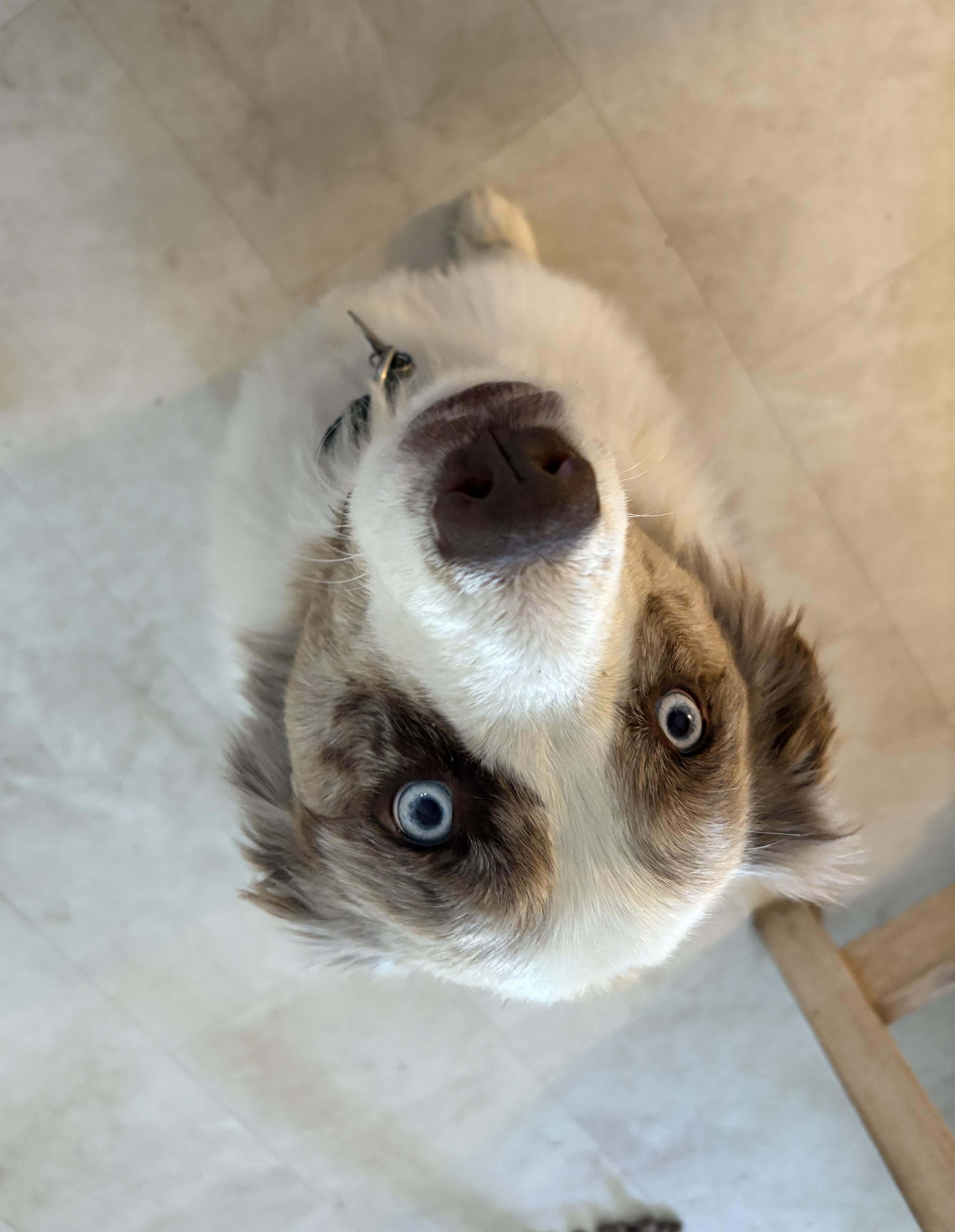 Sophie thumbnail 3