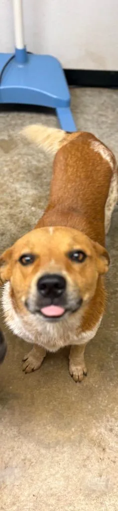 Tucker thumbnail 2