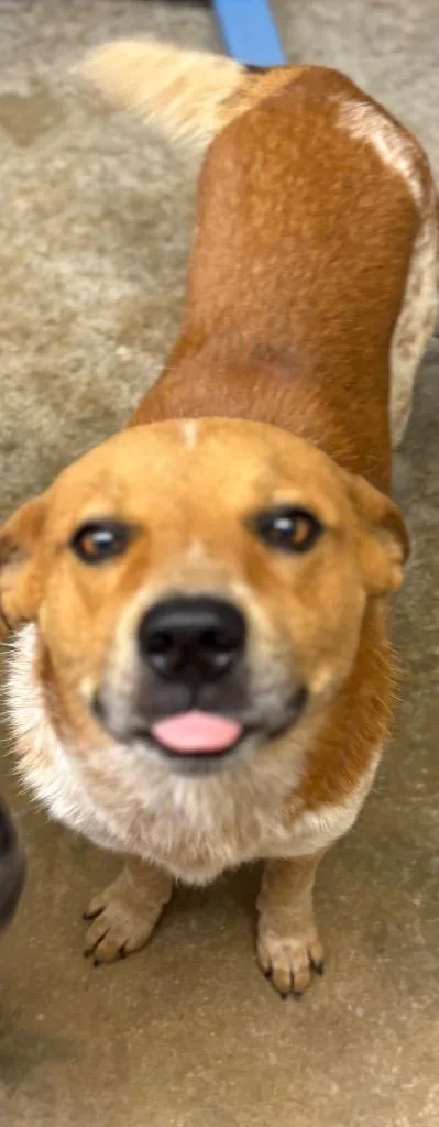 Tucker thumbnail 3