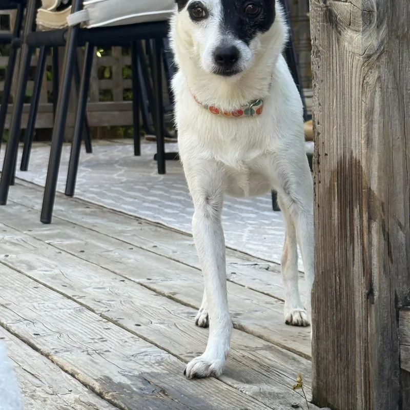 Malcolm