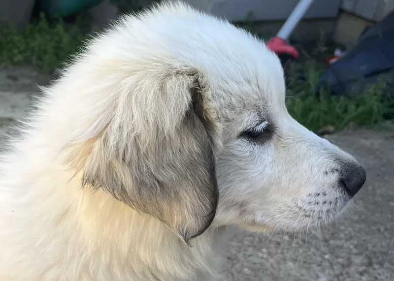 Sara Dfw thumbnail 2