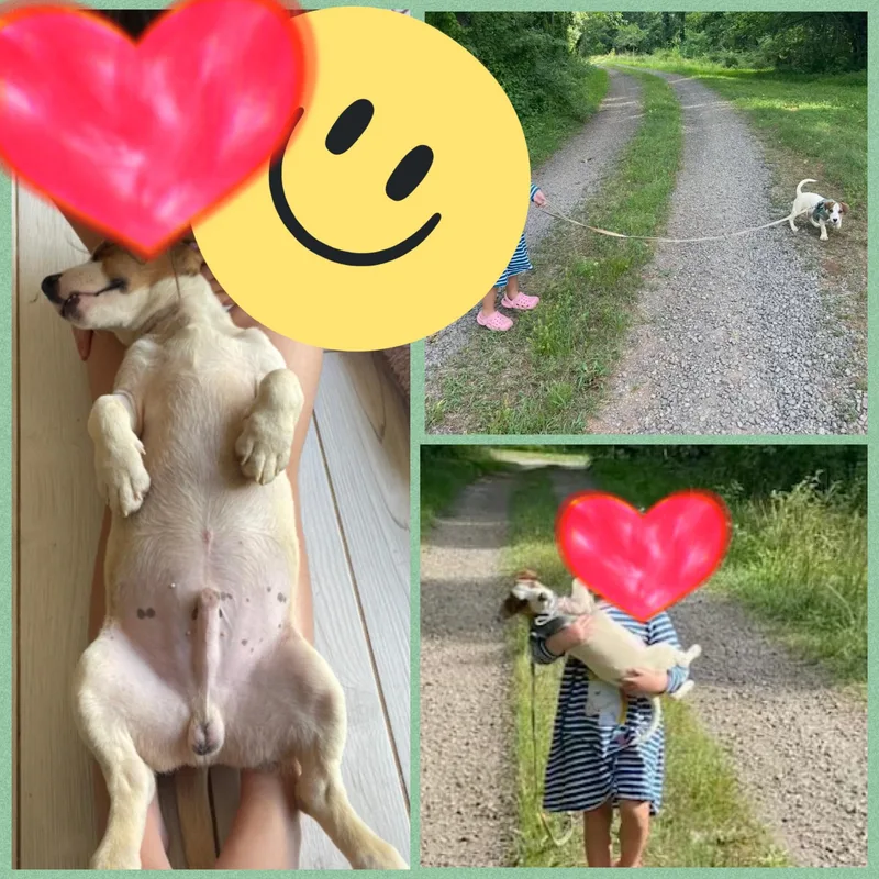 Fritz thumbnail 5