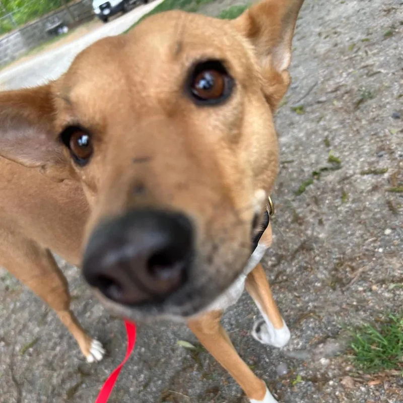 Marsha thumbnail 3