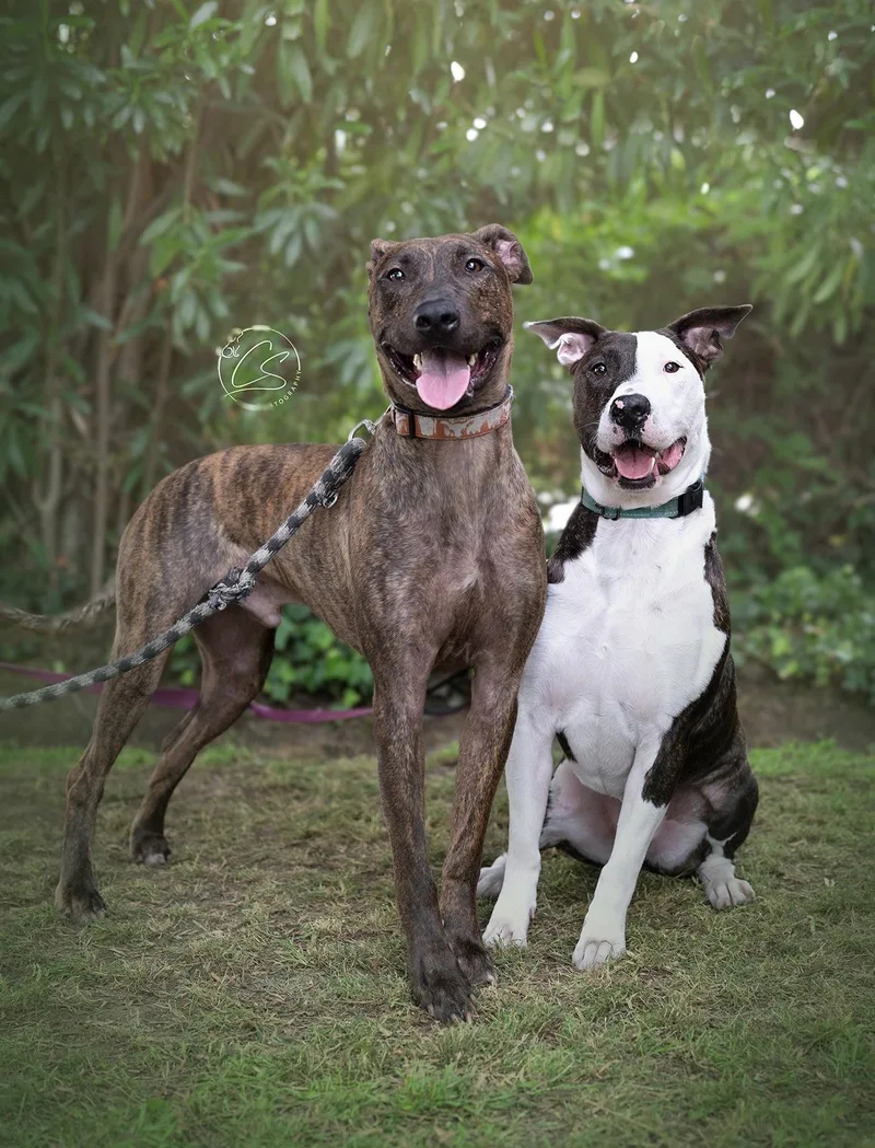 Parkercontact Rachel thumbnail 2