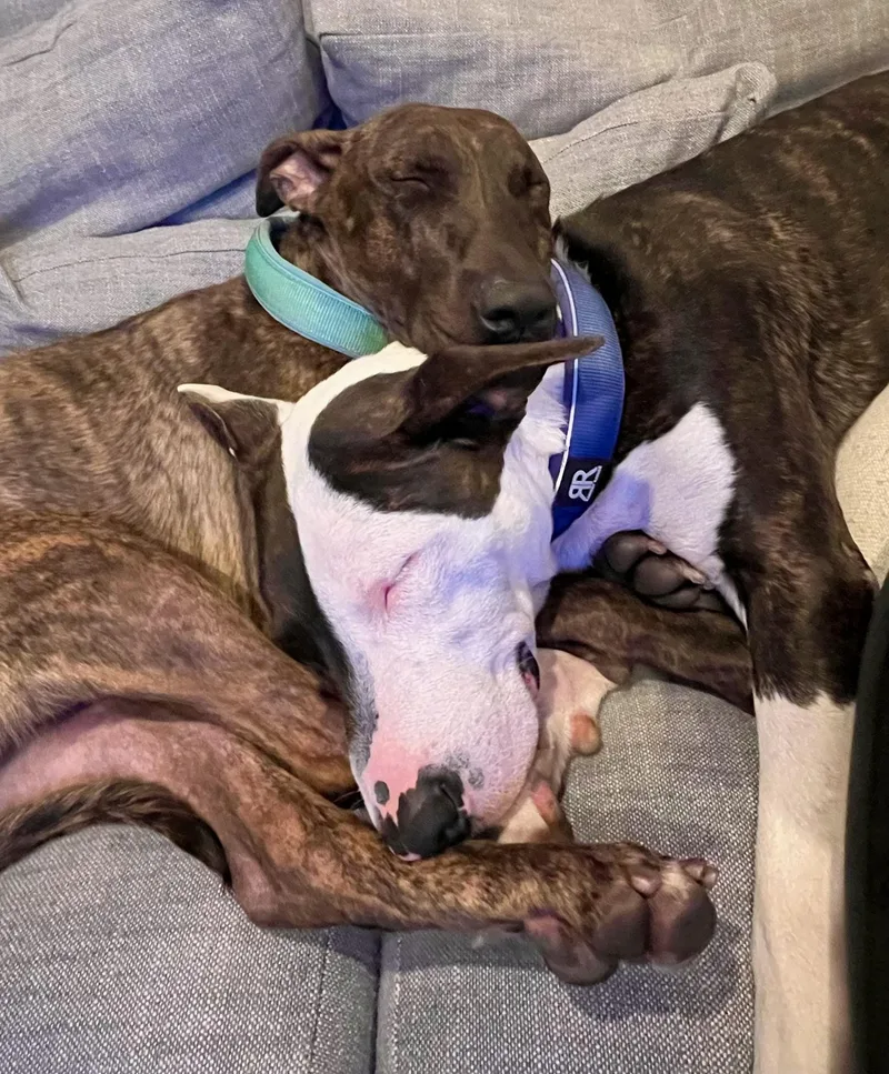 Parkercontact Rachel thumbnail 3