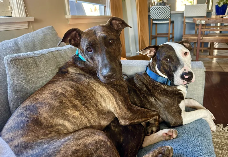 Parkercontact Rachel thumbnail 4