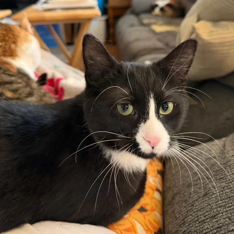 Philip May thumbnail 2