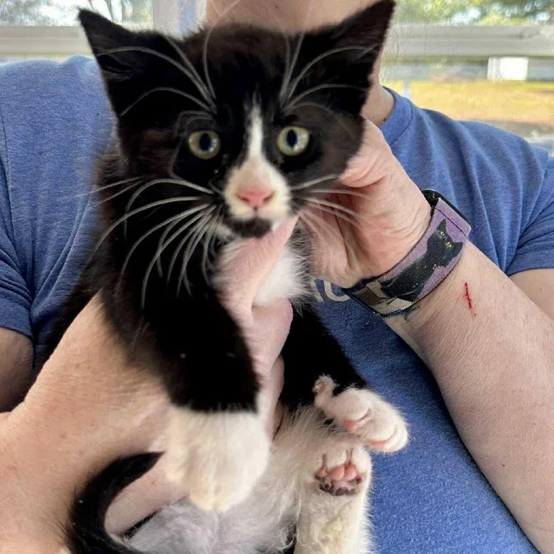 Philip May thumbnail 3