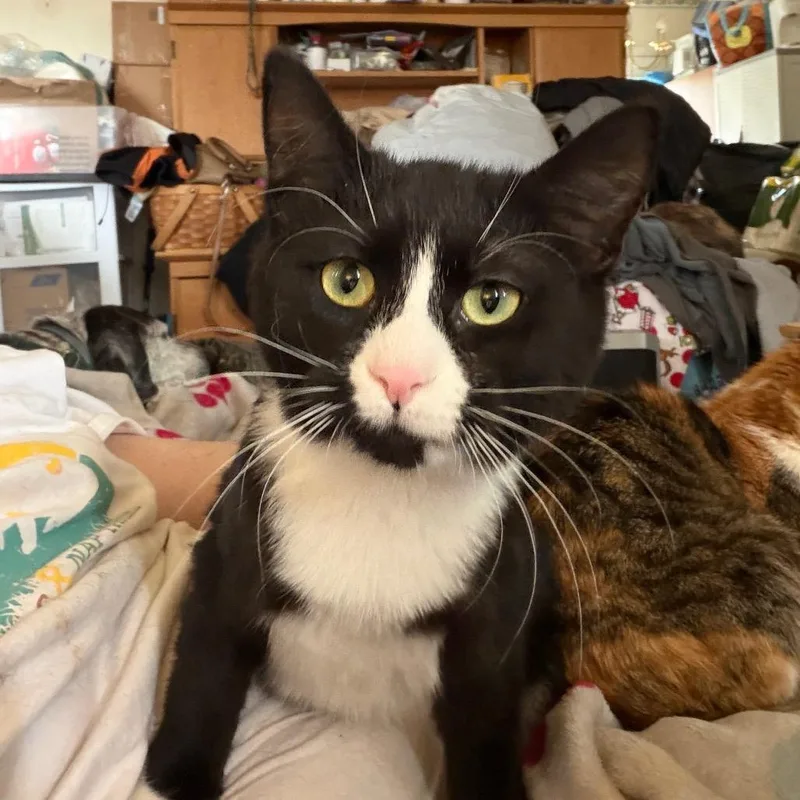 Philip May thumbnail 4