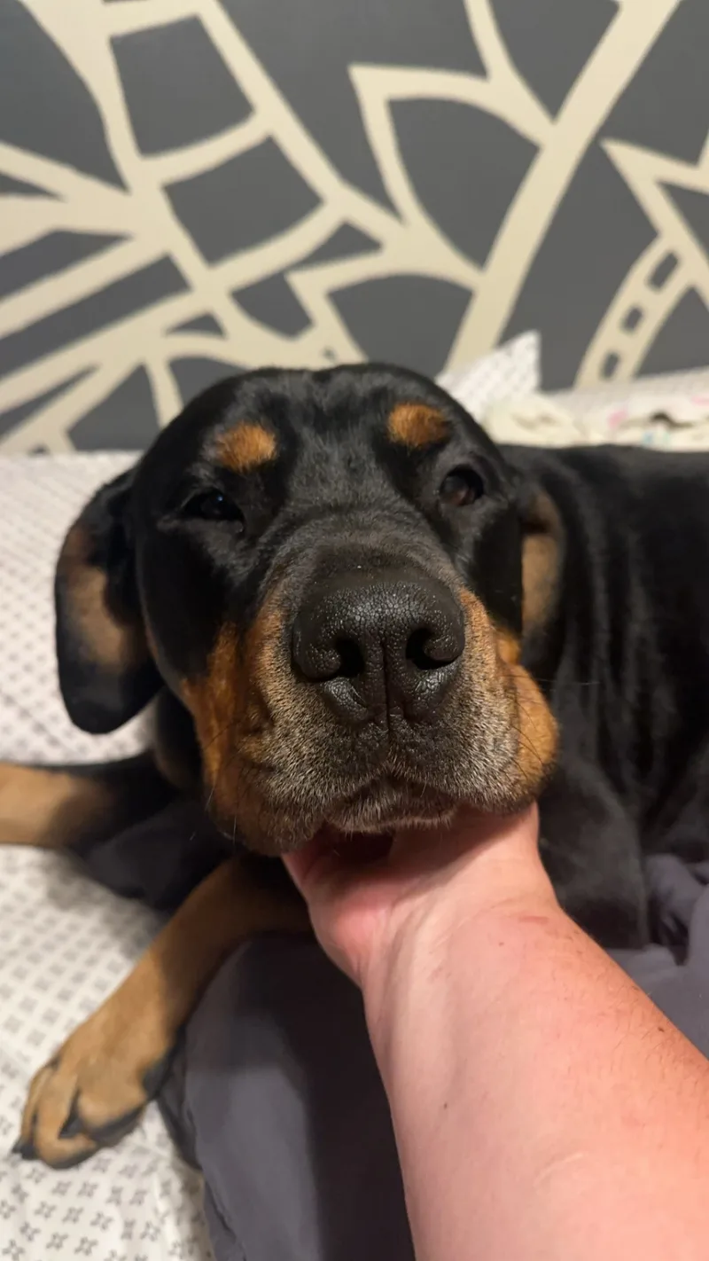 Nala Mae thumbnail 3