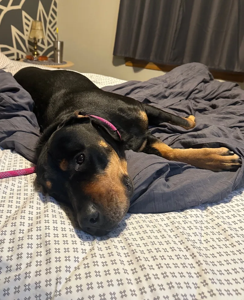 Nala Mae thumbnail 5