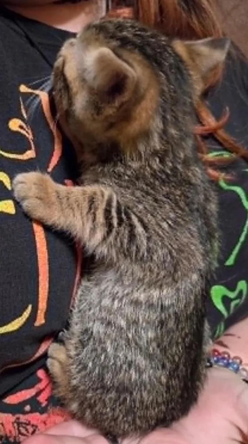 Gus thumbnail 3