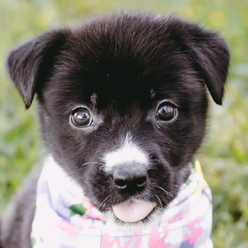 Capri Sun D Arriving thumbnail 2