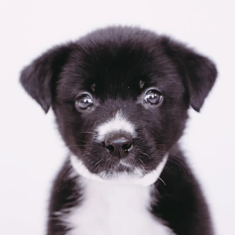 Capri Sun D Arriving thumbnail 6