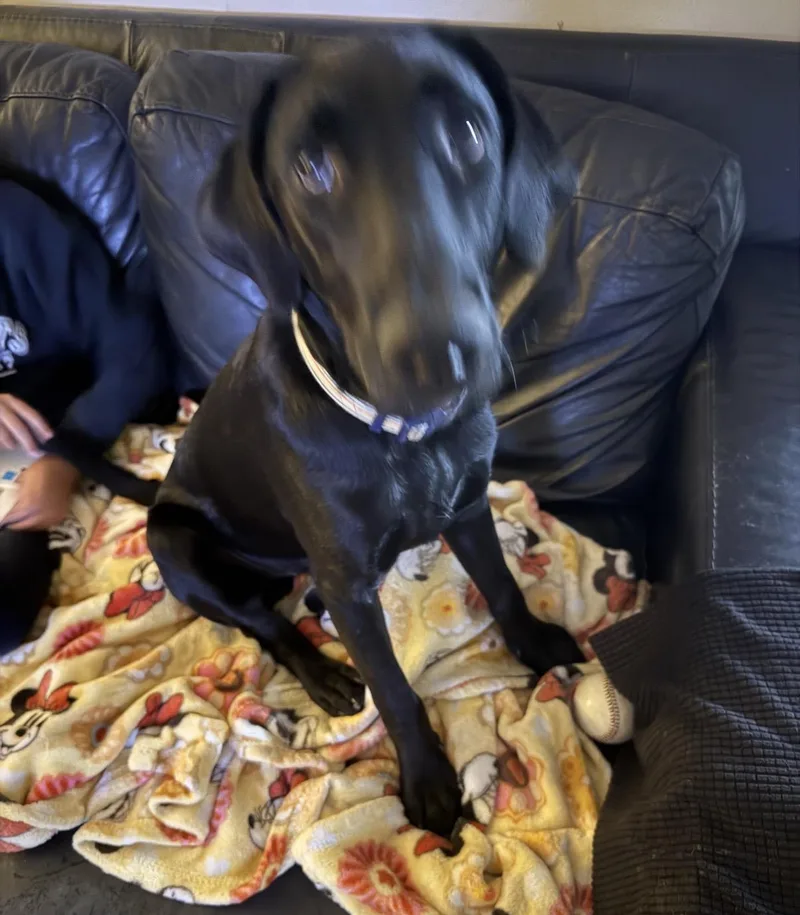Shadow thumbnail 2