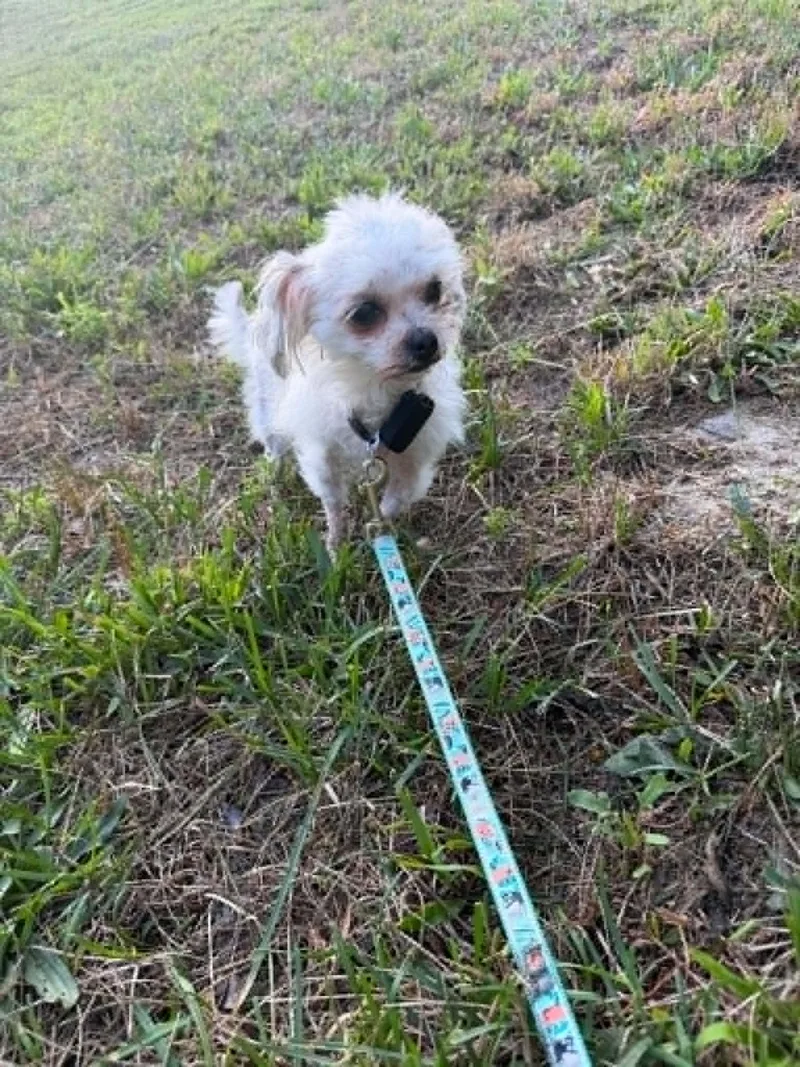 Gina