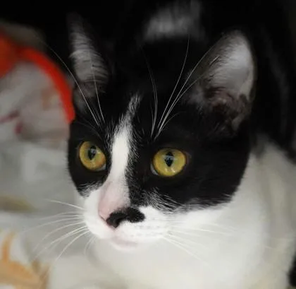 Minnie thumbnail 2
