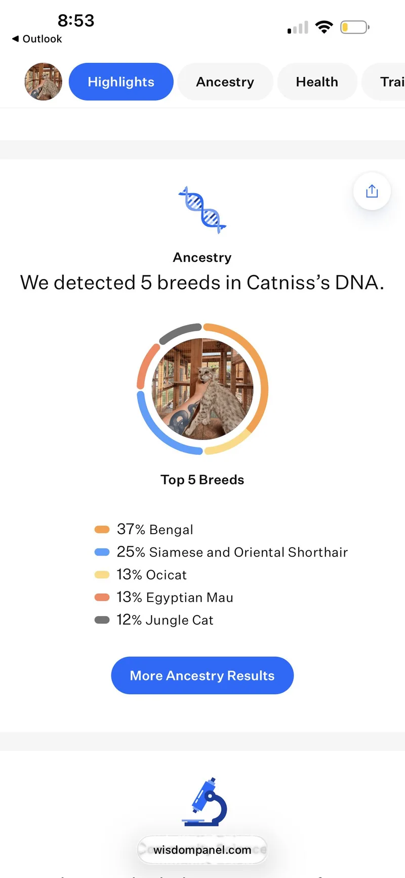 Catniss thumbnail 3