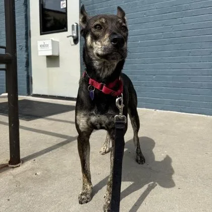 Gwennie